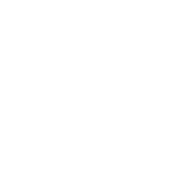Fast Buds