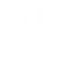 Fast Buds
