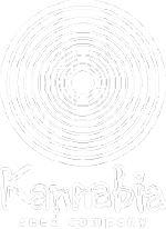 Kannabia Seeds